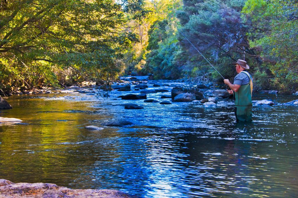 Tyenna River Cottages Esterno foto